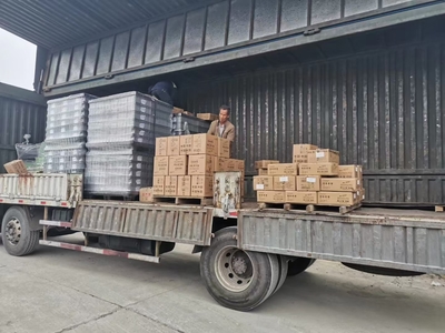 2024漯河至霍尔果斯整车零担往返 全程直达、装卸搬运一体化服务